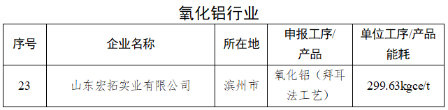 1家氧化铝企业拟入选2024年度省级重点行业能效“领跑者”名单